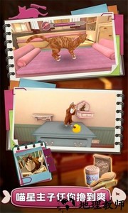 撸猫模拟器游戏 v1.1 安卓版 0