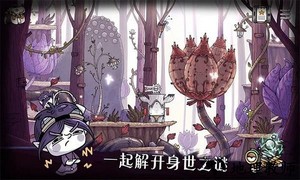 豆胡最新版 v1.043 安卓版 1