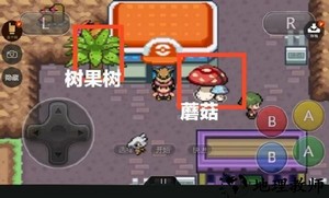 口袋妖怪邪钻游戏 v1.0 安卓版 0