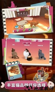 撸猫模拟器游戏 v1.1 安卓版 1