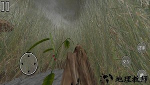 模拟苍蝇生存小游戏 v1.0 安卓版 1