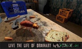 蟑螂模拟器游戏 v1.1 安卓版 2