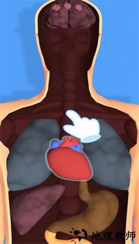 起死回生手游官方版 v1.0.1 安卓版 2