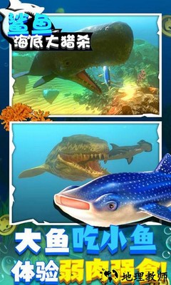 鱼鱼大作战手游 v1.0 安卓版 1