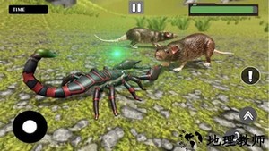 模拟蝎子生存的游戏 v1.3 安卓版 1