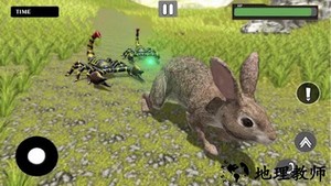 模拟蝎子生存的游戏 v1.3 安卓版 0