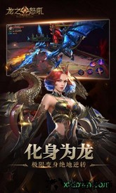 龙之怒吼应用宝版 v1.3.0 安卓版 1