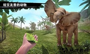 求生岛之旅手游 v1.0 安卓版 0