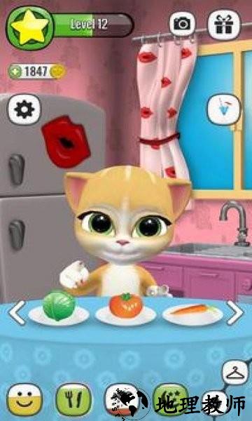 会说话的小猫咪游戏 v1.0.5 安卓版 2