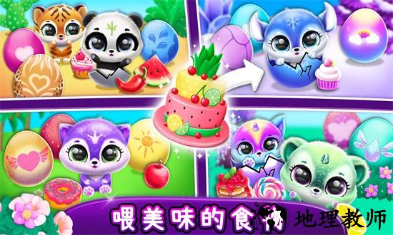 梦幻宠物屋游戏 v1.0 安卓版 2