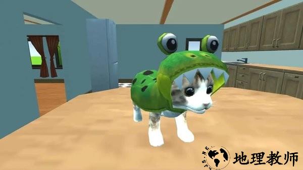 喵咪之家游戏 v1.0.1 安卓版 3