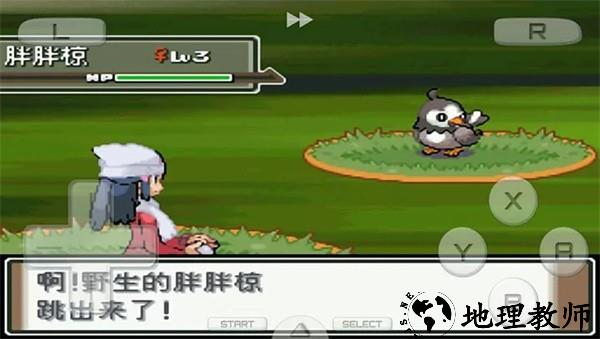 口袋妖怪白金493中文版 v4.5.0 安卓版 3