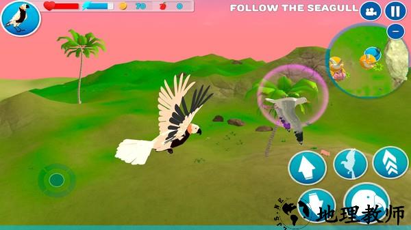 鹦鹉模拟器游戏 v1.0 安卓版 2