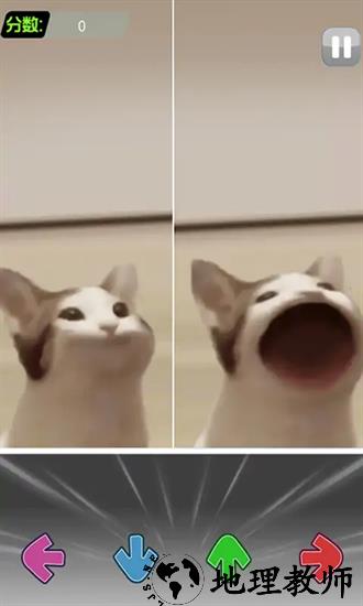 电子虚拟猫模拟最新版 v1.0 安卓版 0