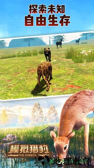 模拟猎豹游戏 v1.0 安卓版 0