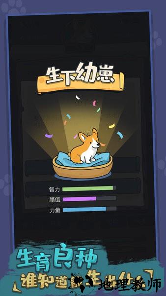 狗生模拟器官方最新版 v1.0.0 安卓版 3