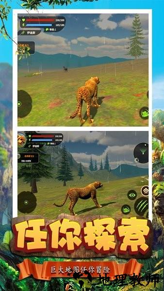 荒野猎豹模拟器手游 v1.0 安卓版 0