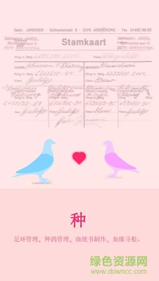天下鸽谱 v1.1.5 安卓版 2