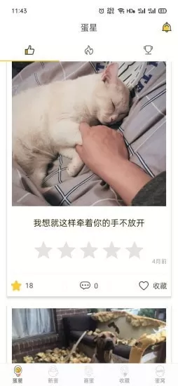 画蛋平台 v1.0.2 安卓版 1