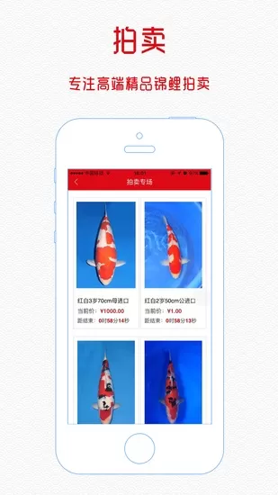 鱼趣中锦俱乐部最新版 v0.0.15 安卓版 2