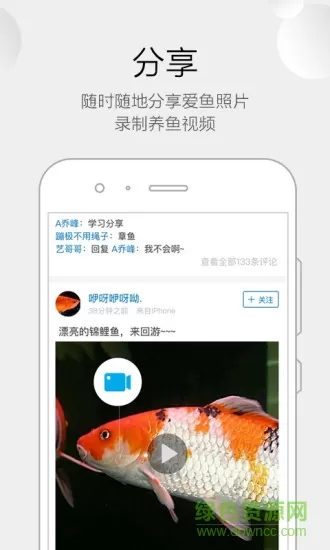 龙巅鱼邻软件 v5.1.3 安卓版 2