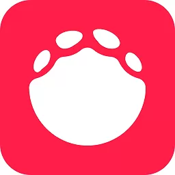 伙玩