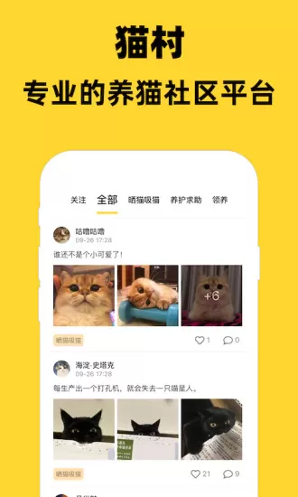 猫村app v2.6.0 安卓版 3