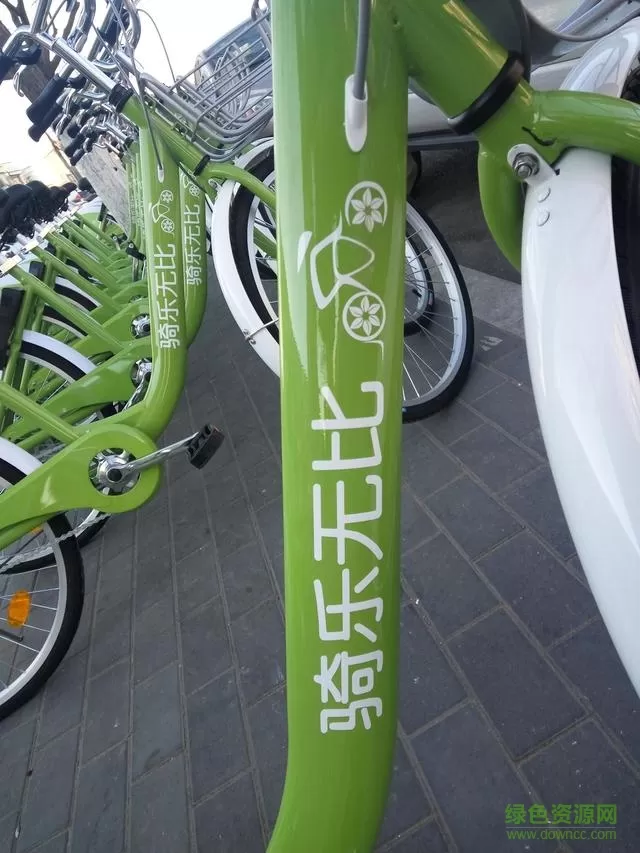 骑乐无比单车