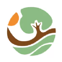 这里乡情最新版