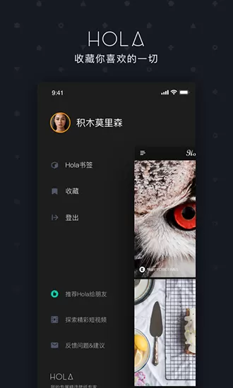 Hola app下载