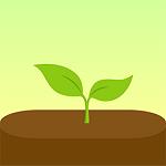 forest最新版