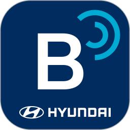 bluelink手机