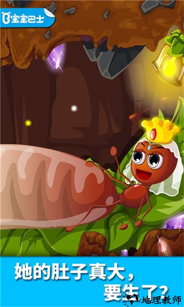 宝宝认蚂蚁最新版4