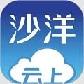 云上沙洋app
