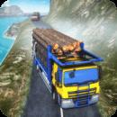 HeavyTruckDriverCargo