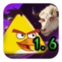 我的鸟随机版最新版