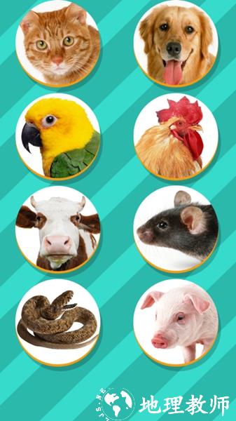 pettranslator人宠交流器3