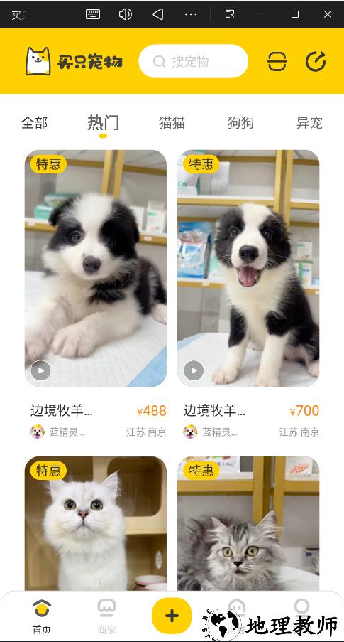 买只宠物官方版1