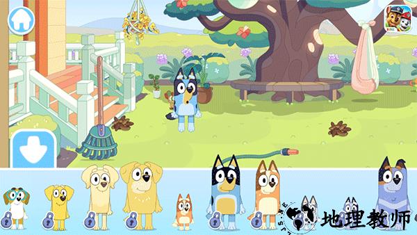 布鲁伊一起玩吧安卓版5