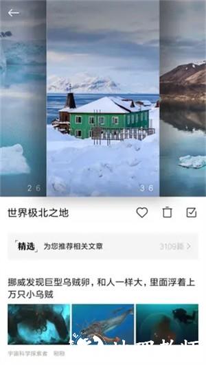 小米画报app2
