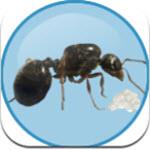 Antkeeper蚂蚁模拟安卓版