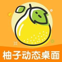 柚子动态桌面app