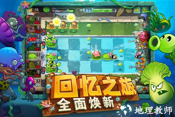 植物大战僵尸24
