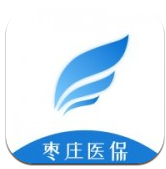 枣庄医保(枣庄医保网上缴费)V2.9.6.3