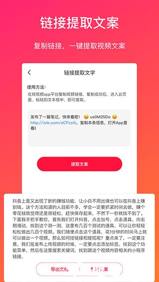 视频转文字3