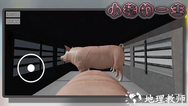 小猪的一生模拟器3