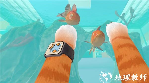 奶奶的贴心小猫3