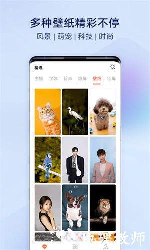 VIVO主题商店app3