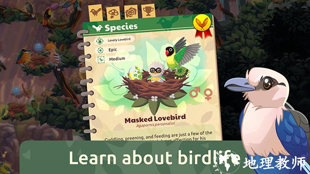 鸟类世界正版4