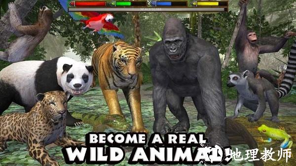 丛林动物模拟器(JungleSim)1